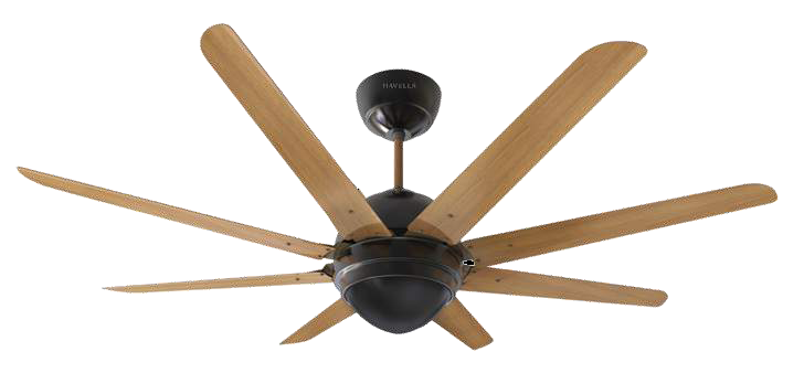 Havells Special Finish Fans