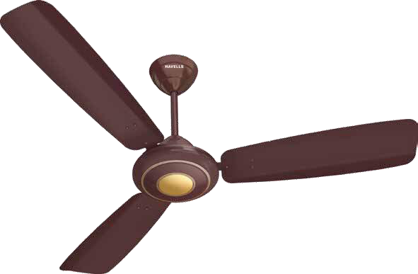 Havells Reguler Fans