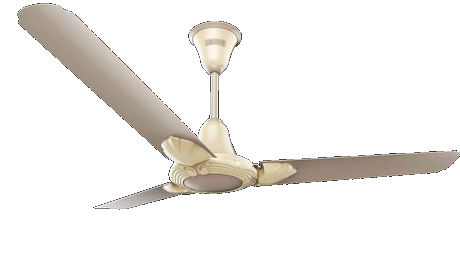Luminous Russet Brown Fan